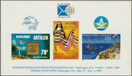 Unmounted Mint Blok Washington Internat. Postzegeltentoonstelling 1989, Variëteit Ongetand, Pracht Ex., Klein Attest Vle - Curazao, Antillas Holandesas, Aruba