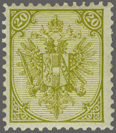 Mounted Mint Coat Of Arms 20 Kreuzer Olive Typographic Printing Perforated 11½, Fine/very Fine With 2023 Rüdiger Soeckni - Bosnia Herzegovina