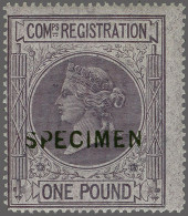 Mounted Mint , Unmounted Mint 1867-1881 Companies Registration, A Fine Group In Violet And Lilac, Up To £1 All Overprint - Fiscale Zegels