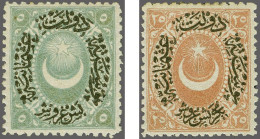 Mounted Mint Non Issued Duloz 5 Ghrush Grey And 25 Ghrush Light Red, Very Fine Mounted Mint, Cat.v. 5600 - Other & Unclassified