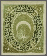 Mounted Mint Duloz 20 Para In 2 Different Shades Of Green, Both With Varieties Inverted Overprint And Imperforate (Burak - Andere & Zonder Classificatie