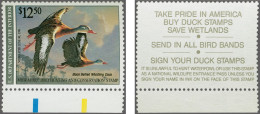 Without Gum 1990 Hunting Permit Stamp $ 12,50 - Black Bellied Whistling Duck - With The Error Black Inscription Printed  - Sonstige & Ohne Zuordnung