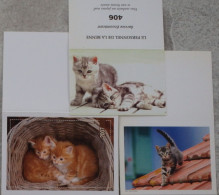 Petit Calendrier De Poche Lot 3 Calendriers 2007 Chat Chaton - Petit Format : 2001-...