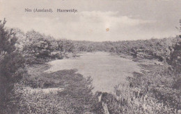 2606173Nes, Hazeweidje. (minuscule Vouwen In De Hoeken) - Ameland