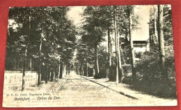 BRUXELLES  - Drève Du Duc  -  1906 - - Avenues, Boulevards