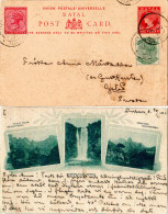 Natal 1901, 1/2+1d Zusatzfr. Auf 1d Bild Ganzsache V. Durban N. Schweden - Autres - Afrique