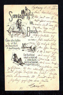 1901 - 1 1/2 P. Ganzsache Mit Gedicht Und Bildern, Dabei "Kakadu" - Ab Sydney - Cartas & Documentos