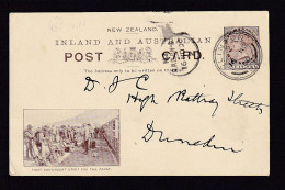1900 - 1 P. Bild Ganzsache "First Contigent Start For The Front" - Ab Clinton Nach Dunedin - Storia Postale