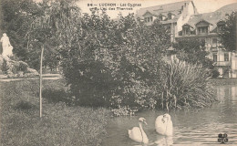 FRANCE - Luchon - Les Cygnes Du Lac Des Thermes - Carte Postale Ancienne - Luchon