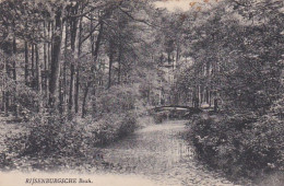 4770a25Rijsenburgsche Bosch.  - Driebergen – Rijsenburg