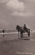 4770a48Scheveningen, Schelpenvisser. (FOTOKAART)  - Scheveningen