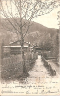 SUISSE - VALLORBE (Vaud-VD) Le Chalet De La Source En 1903 (Dos Non Divisé) - Vallorbe