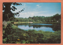 OIGNIES EN THIERACHE - NAMUR VIROINVAL - ETANG DE LA VALLEE DES PRES - ECRITE - Viroinval