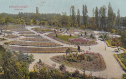 4849142Sangerhausen, Rosarium 1909. (Verschiedene Falten) - Sangerhausen