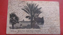 1904 ROMA MONTE PINCIO GRANDE PALMA  PANORAMA - Autres & Non Classés