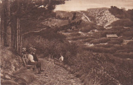 485158Schoorl, Naar De Oriënteertafel. 1926. (zie Randen) - Schoorl