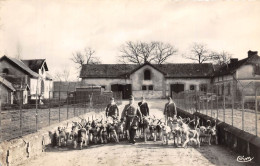 18-VOUZERON- EQUIPAGE VOUZERON-SOLOGNE- SORTIE DU CHENIL - Vouzeron