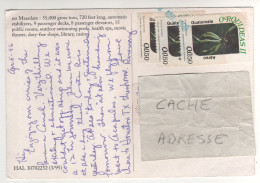 3 Timbres , Stamps " Fleur Orchidée : Encyclia Cochleata " Sur CP , Carte , Postcard Du 06/04/96 ( Paquebot ) - Guatemala