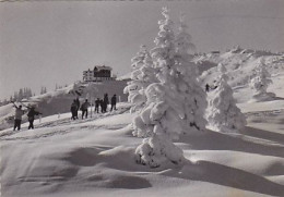 AK 204195 AUSTRIA - Kitzbühel - Hotel Ehrenbachhöhe - Hahnenkamm - Kitzbühel