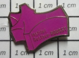 616B Pins Pin's / Rare & Belle Qualité THEME MEDICAL / INSTITUT GUSTAVE ROUSSY Variante Rose - Médical