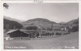 E4746) GOLDEGG Im PONGAU  - Haus DETAIL Im Vordergrund Mit See Dahinter ALT ! - Goldegg