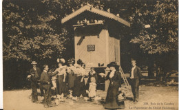 BRUXELLES   BOIS DE LA CAMBRE  LE PIGEONNIER DU CHALET ROBINSON    2 SCANS - Parks, Gärten