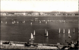 N°11141 -cpsm Saint Jean De Luz -des Régates Dans La Baie- - Segeln