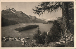 SILS - BASELGIA IM OBER ENGADIN - BLICK VON PLAZ AUF DEN SILSER SEE - F.P. - Sils Im Engadin/Segl