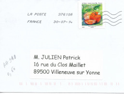 France 2013 - AA 910 - OBLITERE S/enveloppe 07/2014  / Les Petits Bonheurs = Magie D'agrumes - Storia Postale