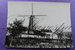 Snellegem Windmolen  / Uitg  Verschaeve Druk WN Stekene/moulin A Vent - Jabbeke