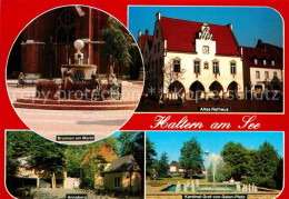 72875639 Haltern See Brunnen Am Markt Altes Rathaus Kardinal Graf Von Galen Plat - Haltern