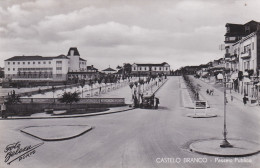 POSTCARD PORTUGAL - CASTELO BRANCO - PASSEIO PÚBLICO - Castelo Branco