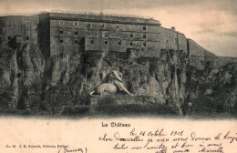 CPA 90 - BELFORT (T. De Belfort) - 55. Le Château - Belfort – Le Lion