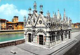 Cartolina Pisa Chiesa S. Maria Della Spina Colorata Anni '60 - Pisa