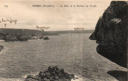 CPA 29 - PRIMEL (Finistère) - 729. La Baie Et Le Rocher Du Profil - Primel