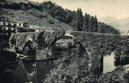 CPA 64 - BIDARRAY (Pyrénées Atl.) - Le Vieux Pont En Dos D'âne Sur La Nive - Bidarray