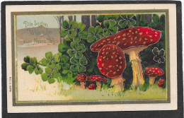 CHAMPIGNONS Et Trèfles - Cpa Gaufrée - Funghi