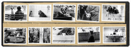 2001 Cats & Dogs Fine Used Hrd3a - Oblitérés