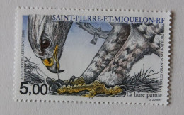 SPM 2000  Faune Oiseaux La Buse Pattue  PA80     Neuf - Unused Stamps