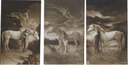 3x Femme Et Cheval - 3x Vrouw Met Paard - Cavalli
