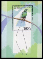Benin Oiseau De Paradis Paradise Bird MNH ** Neuf SC ( A53 406b) - Perroquets & Tropicaux
