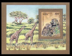 Benin Singes Monkeys Apes Girafes Giraffes MNH ** Neuf SC ( A53 398c) - Girafes