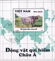Vietnam Ox Boeuf Bos ( A53 41b) - Ferme