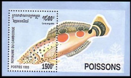 Cambodge Poissons D'aquarium Fish Fishes Fisches MNH ** Neuf SC ( A53 494a) - Cambogia