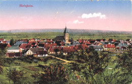 HABSHEIM Vue Du Village Vers 1914 Carte Colorisée - Habsheim