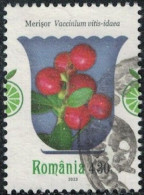 Roumanie 2023 Oblitéré Used Plantes Médicinales Vaccinium Vitis Idaea Airelle Rouge Y&T RO 6965 SU - Usati