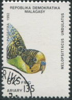 MADAGASCAR - Faune - Les Psittacidés - Melopsittacus Undulatus - Parrots