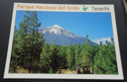 Tenerife - Parque Nacional Del Teide - Edicions A. Campana, Barcelona - # TF.80104 - Tenerife