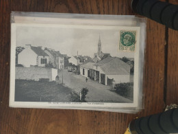 196 - Saint-Lyphard (Loire-Inf.) - Vue D'ensemble - Saint-Lyphard