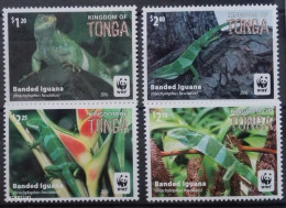 Tonga 2016, WWF - Banded Iguana, MNH Stamps Set - Tonga (1970-...)